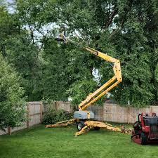 Best Sod Installation  in Inkster, MI